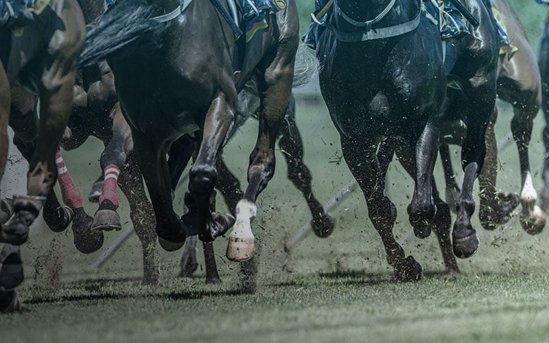 Horse Racing